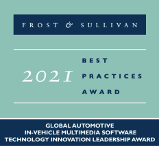 Frost & Sullivan - 2021 Best Practices Award